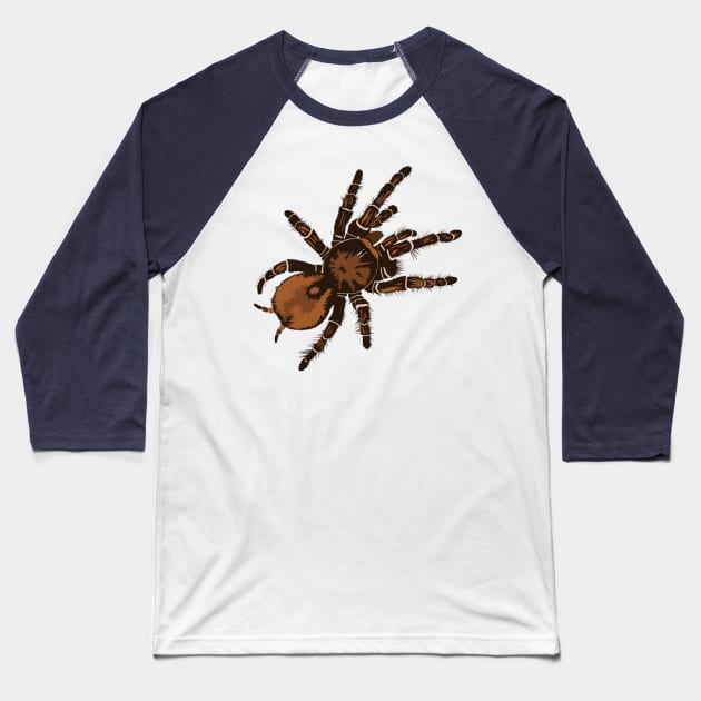 Goliath Bird Eating Spider Baseball T-Shirt by stargatedalek